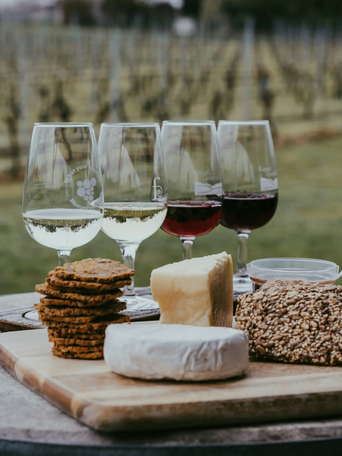 5 vinos aragoneses catering